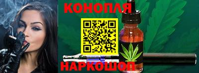 дмт Новодвинск