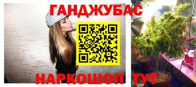 стаф Новокубанск