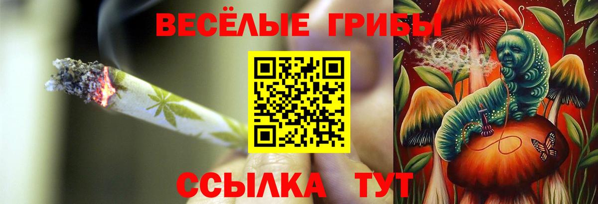 Валуйки  Галлюциногенные грибы Psilocybine cubensis  Вход с VPN 