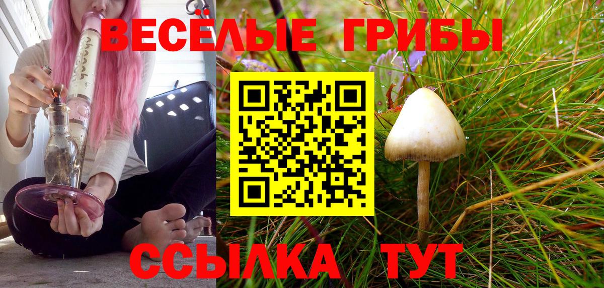 Псилоцибиновые грибы прущие грибы Валуйки